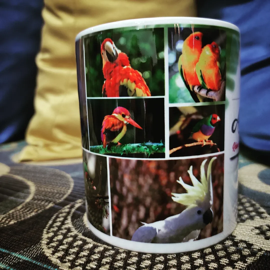 portafolio-crescre-2026-01-17-14-07-59